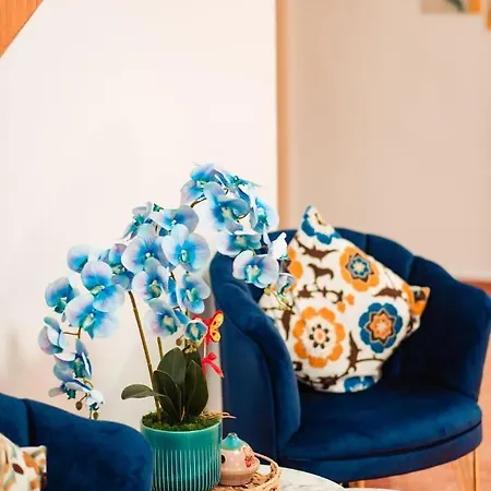 Roxy&maryo Hotel Eforie Nord